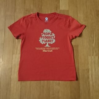 マーモット(MARMOT)のMarmot Tシャツ(レディースＭ)(その他)