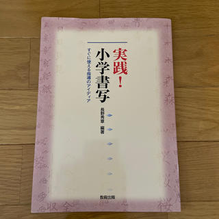 実践！小学書写 すぐに使える指導のアイディア(人文/社会)