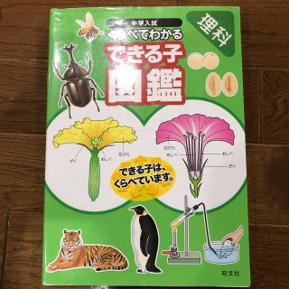 オウブンシャ(旺文社)の中学入試　くらべてわかるできる子図鑑(語学/参考書)