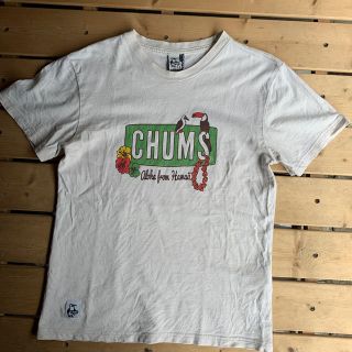 チャムス(CHUMS)のCHUMS women's L Tシャツ(その他)