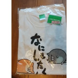 イオン(AEON)のあーちゃん様　ボンレスTシャツ　白　M+L　２枚セット(キャラクターグッズ)