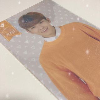 セブンティーン(SEVENTEEN)のSEVENTEEN ウジ クリアファイル(アイドルグッズ)