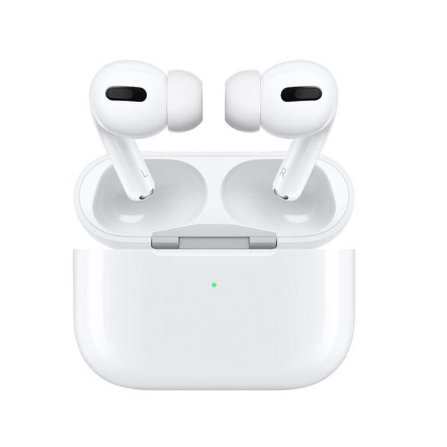 APPLE MWP22J/A airpods pro 第1世代