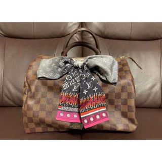 ルイヴィトン(LOUIS VUITTON)のM様専用 ¥49,800→¥45,000ルイヴィトン スピーディ30 バンドー付(ハンドバッグ)