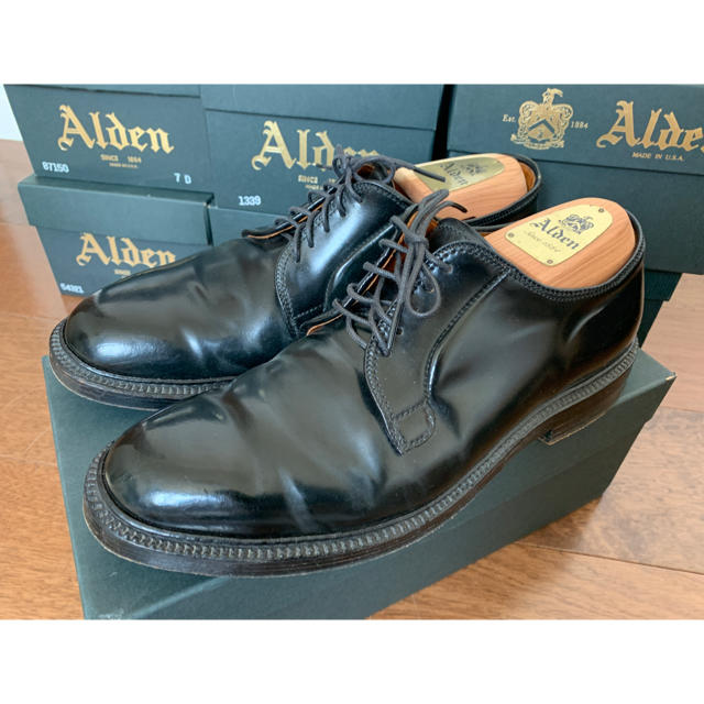 Alden 9901 プレーントゥブラック付属品