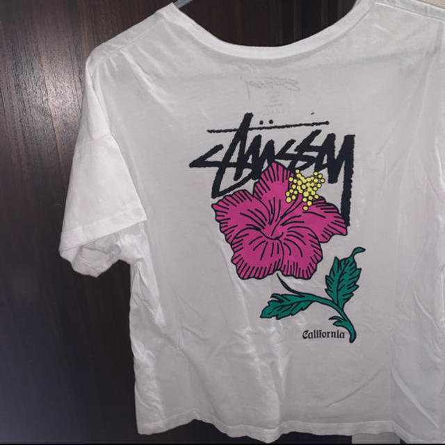 STUSSY(ステューシー)のstussy 半袖　Tシャツ レディースのトップス(Tシャツ(半袖/袖なし))の商品写真