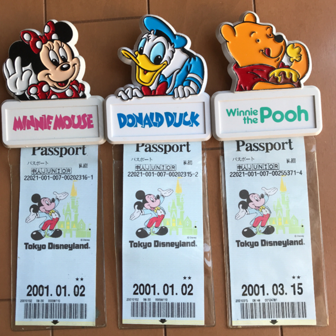 Disney 東京ディズニーランド パスポートホルダー チケットホルダーの通販 By Riko ディズニーならラクマ