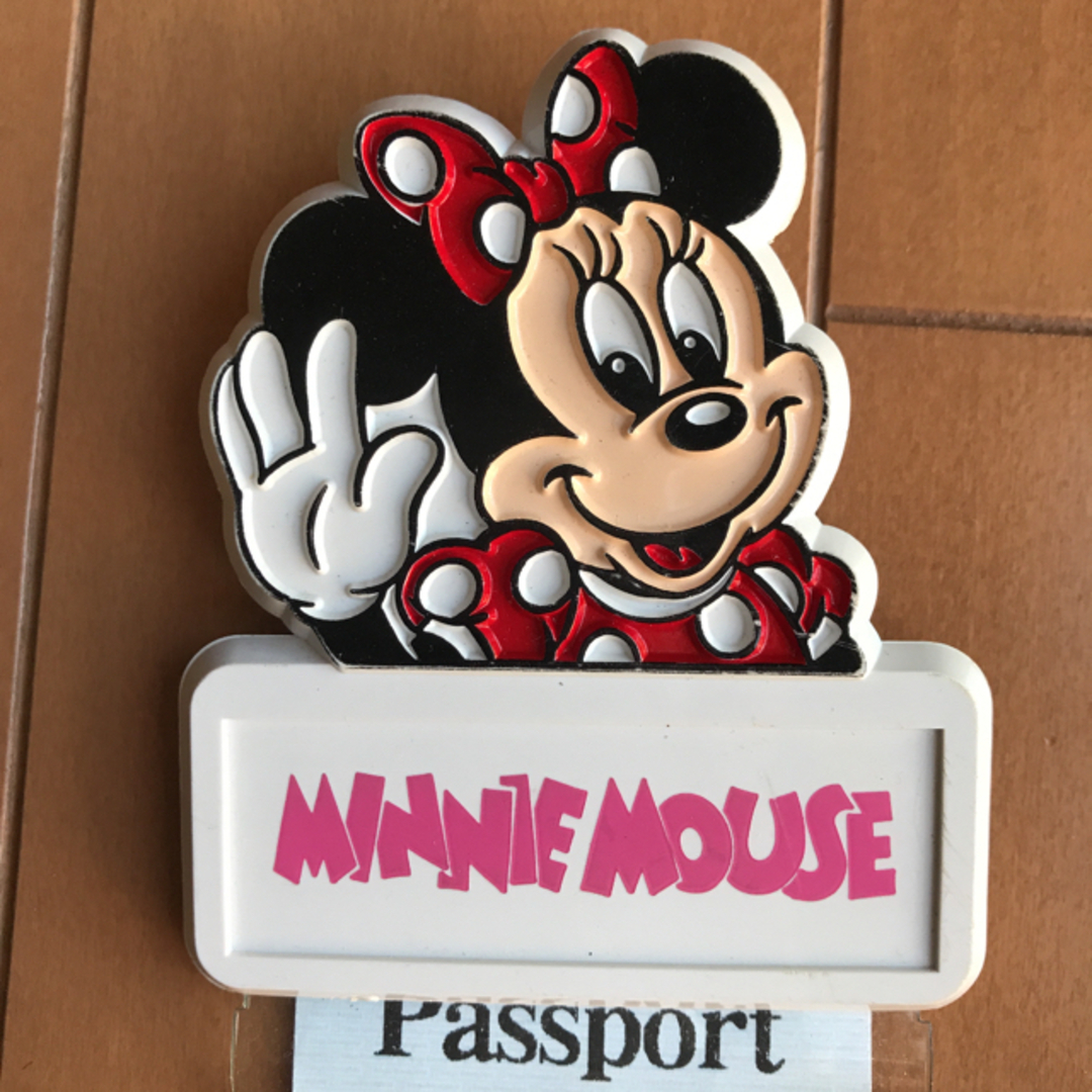 Disney 東京ディズニーランド パスポートホルダー チケットホルダーの通販 By Riko ディズニーならラクマ