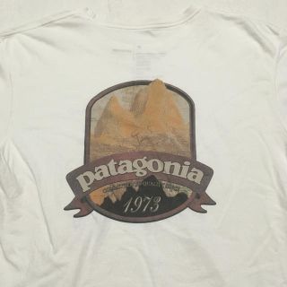 パタゴニア(patagonia)のパタゴニア　tシャツ(Tシャツ/カットソー(半袖/袖なし))