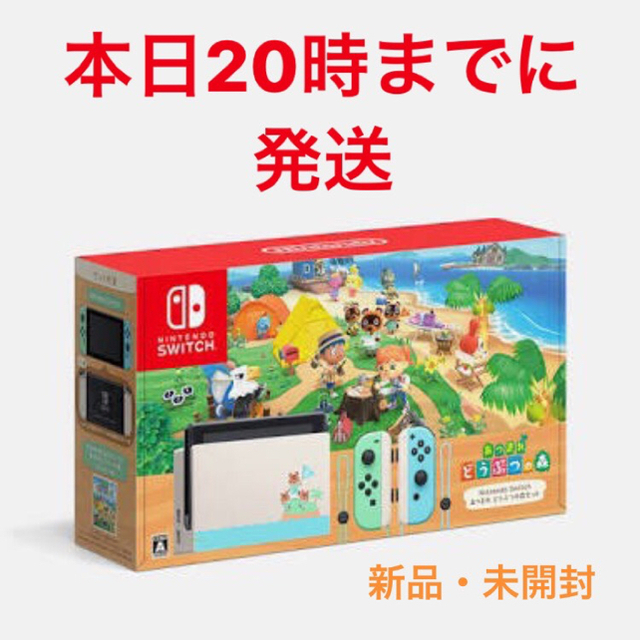 任天堂Switch・あつまれどうぶつの森セット