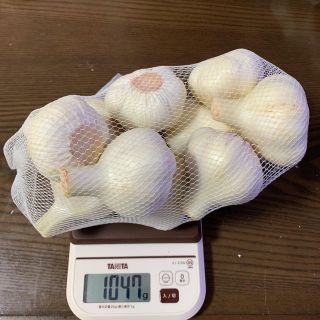 徳島県産 生にんにく 1㎏ 2L〜3L(野菜)