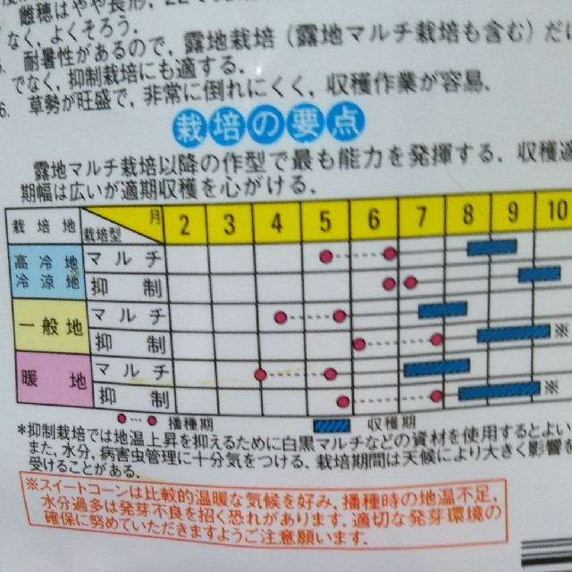 かぼちゃの種、とうもろこしの種セット 食品/飲料/酒の食品(野菜)の商品写真