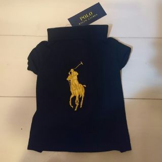 ポロラルフローレン(POLO RALPH LAUREN)の新品 ラルフローレン ペット服 犬 S/M(犬)