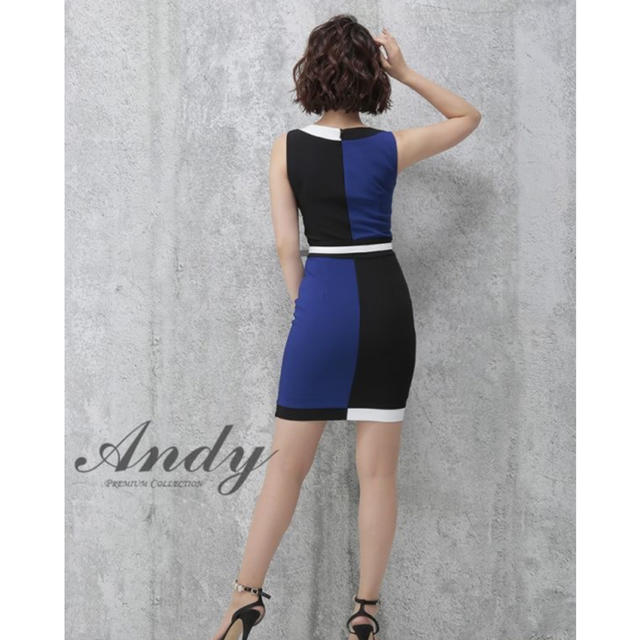 Andy(アンディ)のANDY ❁ ブロッキングデザイン ドレス レディースのフォーマル/ドレス(ミニドレス)の商品写真