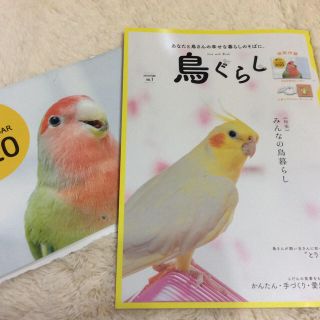 ！専用！『鳥ぐらし』 ＶＯＬ．１   2020カレンダー付き！インコ情報満載☆(その他)