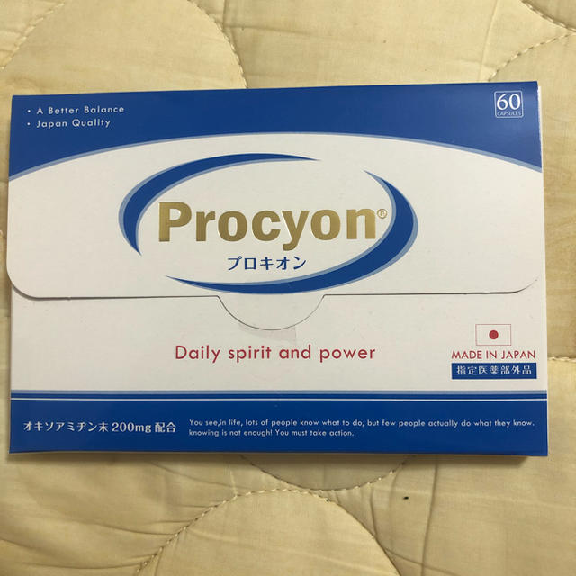 プロキオン　Procyon