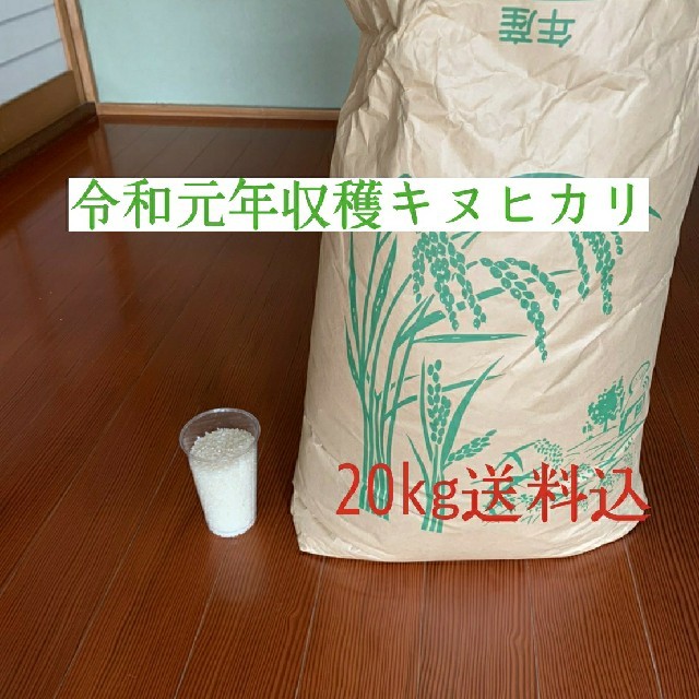 米/穀物近江米 キヌヒカリ 令和元年 送料込 お米 米 ご飯 飯 白米 精米 玄米