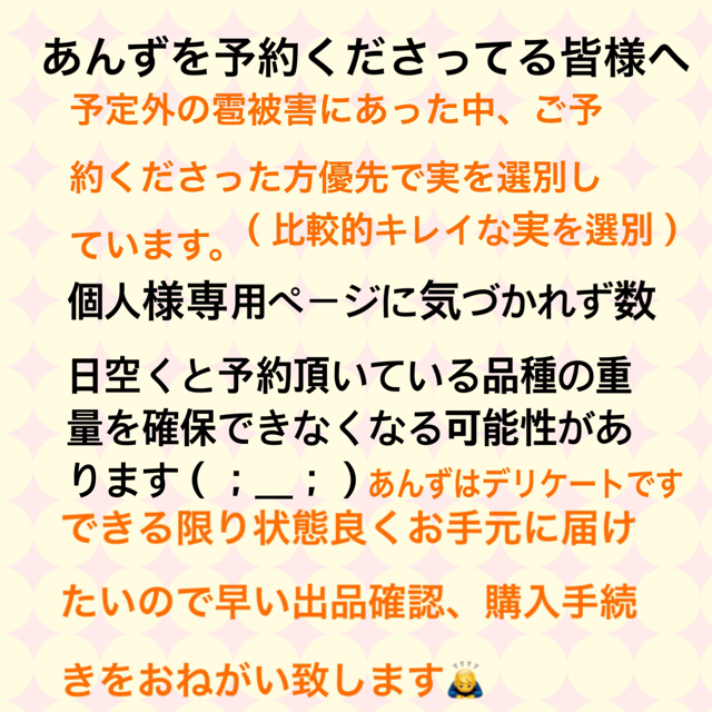 あんず 千曲市森産  キズありも含6/14以降収穫開始 予約終了 7/1収穫終了 食品/飲料/酒の食品(フルーツ)の商品写真