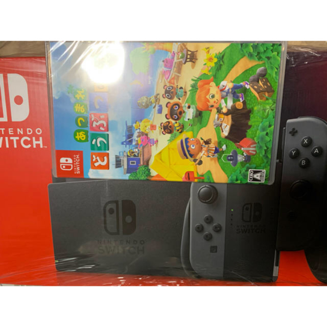 Nintendo Switch 本体　あつまれどうぶつの森　セット