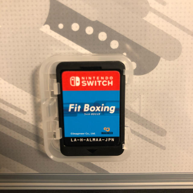 Fit Boxing Switch 1