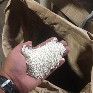 令和元年度産 もち米 ひめのもち  白米10kg 送料込み(米/穀物)