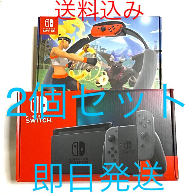 Nintendo Switch - Nintendo Switch  グレー リングフィットアドベンチャー 2個