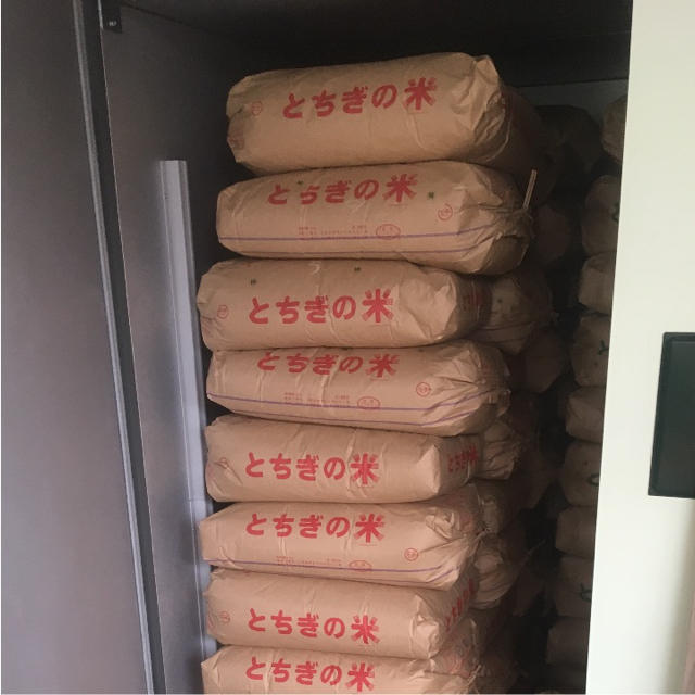 令和元年度産 もち米 ひめのもち 白米24kg 送料込み - 米/穀物