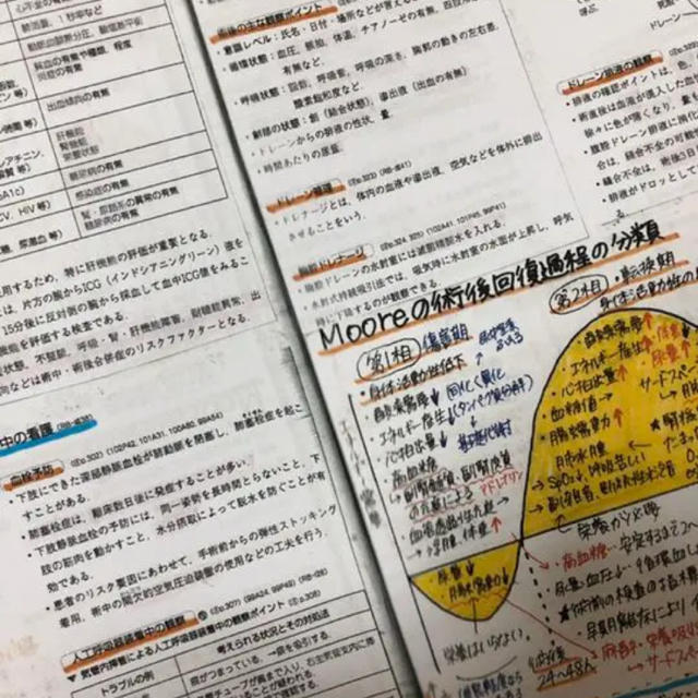 看護学生　まとめノート　付箋　国家試験対策 エンタメ/ホビーの本(語学/参考書)の商品写真