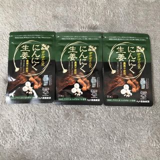 にんにく生姜　3袋(その他)