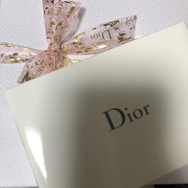 Dior(ディオール)のDIOR ポーチ　オリジナル　ディオール　ノベルティ レディースのファッション小物(ポーチ)の商品写真