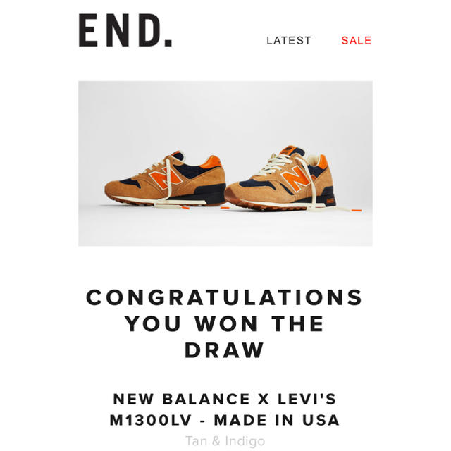 New Balance(ニューバランス)の27.5㎝ New Balance x Levi's M1300LV 海外正規品 メンズの靴/シューズ(スニーカー)の商品写真