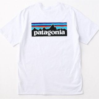 パタゴニア(patagonia)のパタゴニアTシャツ(Tシャツ/カットソー(半袖/袖なし))