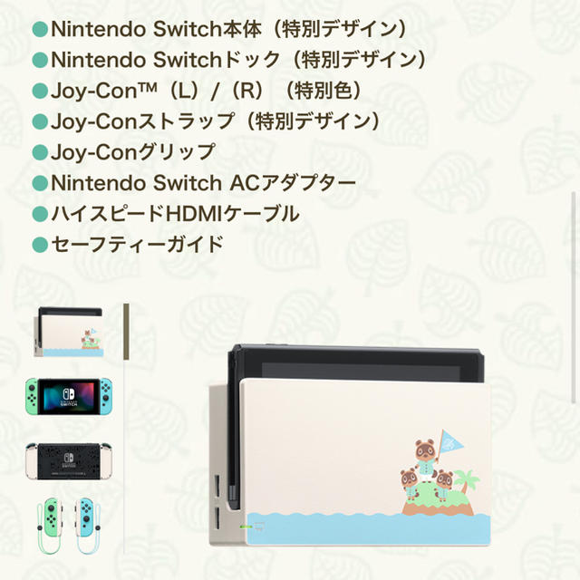 ニンテンドースイッチ　Nintendo Switch あつまれどうぶつの森　同梱 2