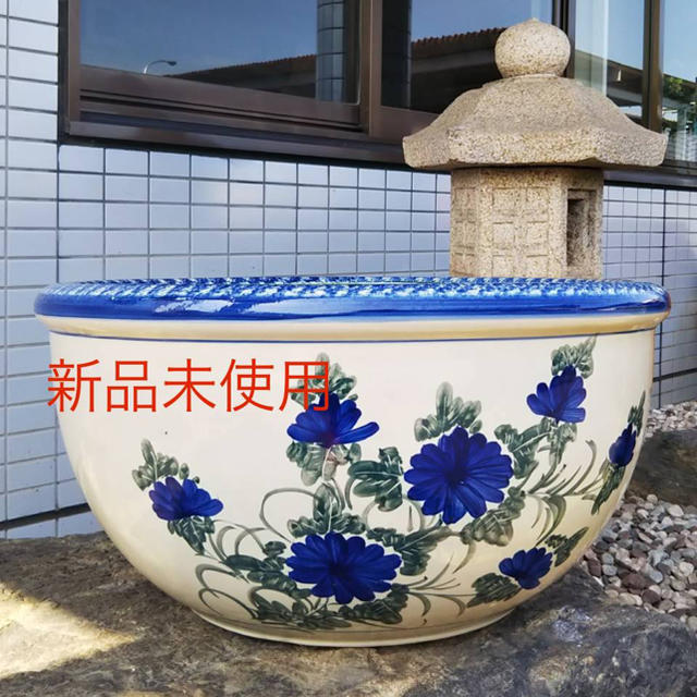 睡蓮鉢◆大サイズ