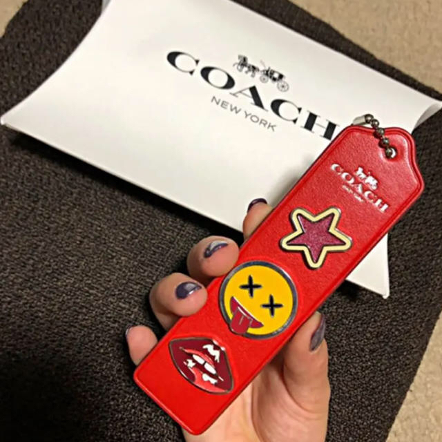 COACH(コーチ)のプー様専用！！！coach ピンバッチ エンタメ/ホビーのアニメグッズ(バッジ/ピンバッジ)の商品写真