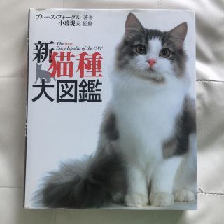 新猫種大図鑑  中古品(住まい/暮らし/子育て)