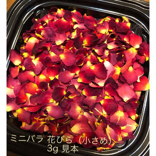 お得用！小さなミニ薔薇の花びら3g（小さめのみ）ドライフラワー★花弁ミニローズ(ドライフラワー)