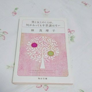 taa様専用＊林真理子＊はあちゅう＊文庫2冊セット(文学/小説)