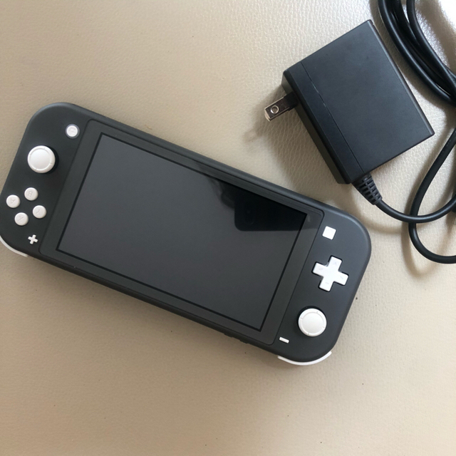 Nintendo Switch - Switch lite グレー 本体 ＋充電器 ＋あつ森 ソフト