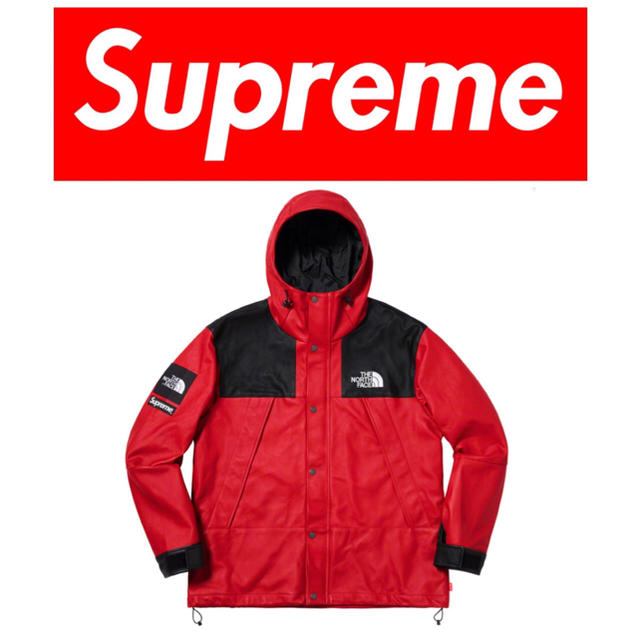 supreme north face leather シュプリーム ノース