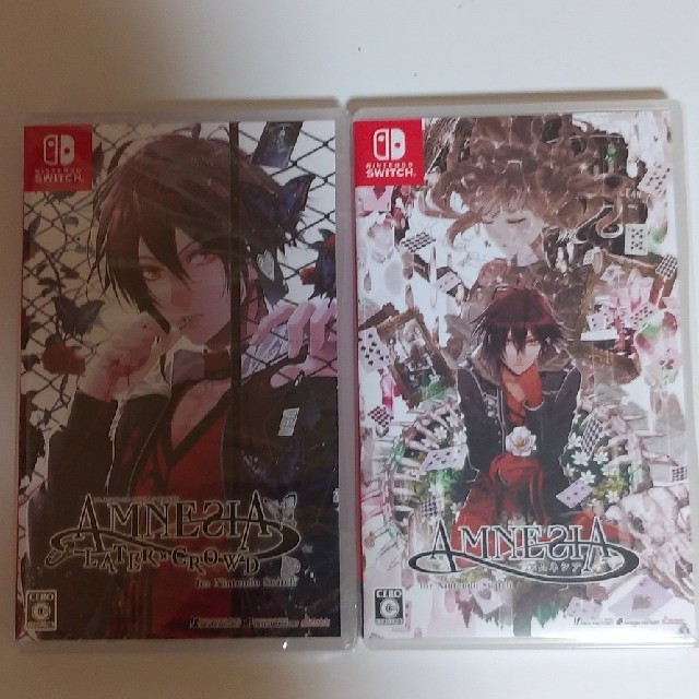 Nintendo Switch アムネシア アムネシアレイター クラウド 2本セットの通販 By むう S Shop ニンテンドースイッチならラクマ