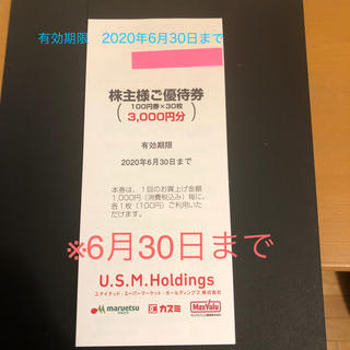 Ｕ.Ｓ.M.Holdings株主優待券　100円券30枚　1冊(ショッピング)