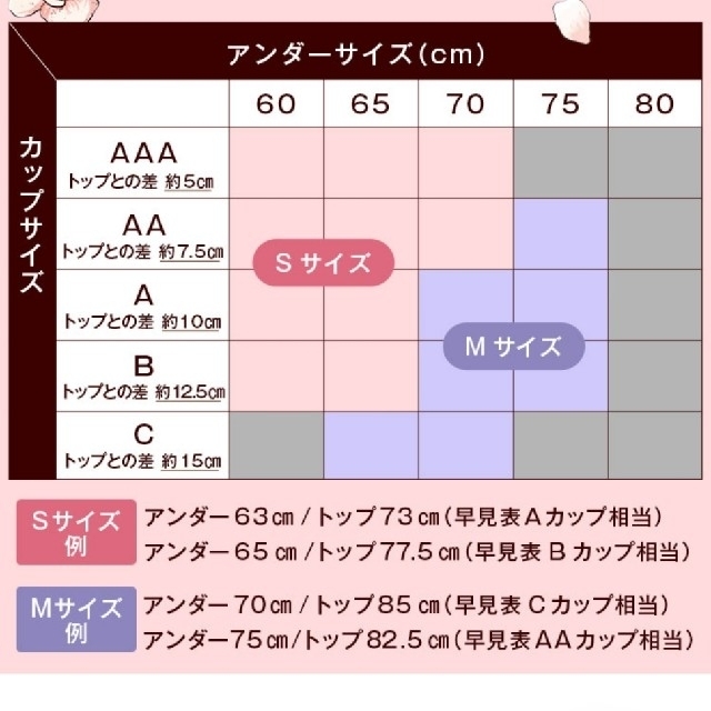 ルーナ ナイトブラ ブラック M レディースの下着/アンダーウェア(ブラ)の商品写真