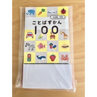 こどもずかん100(知育玩具)