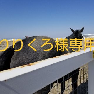 パーリーゲイツ(PEARLY GATES)のりりくろ様専用シューズ(シューズ)