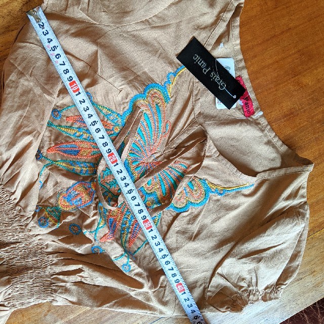 新品　刺繍半袖ブラウス レディースのトップス(シャツ/ブラウス(半袖/袖なし))の商品写真
