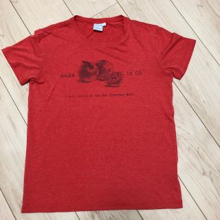 ザノースフェイス(THE NORTH FACE)のノースフェイス　Tシャツ(Tシャツ(半袖/袖なし))