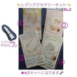 清原 レジンアクセサリーキット No.2✨4点セット✨(各種パーツ)