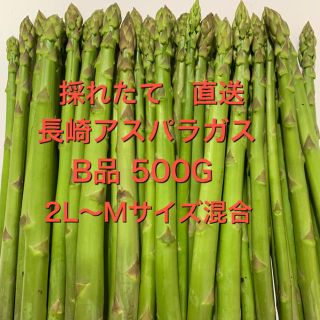 長崎産アスパラガス　B品 500G(野菜)