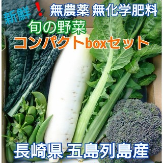 無農薬❗新鮮野菜セット〈コンパクトbox〉(ラインナップのこ確認を) 五島列島産(野菜)